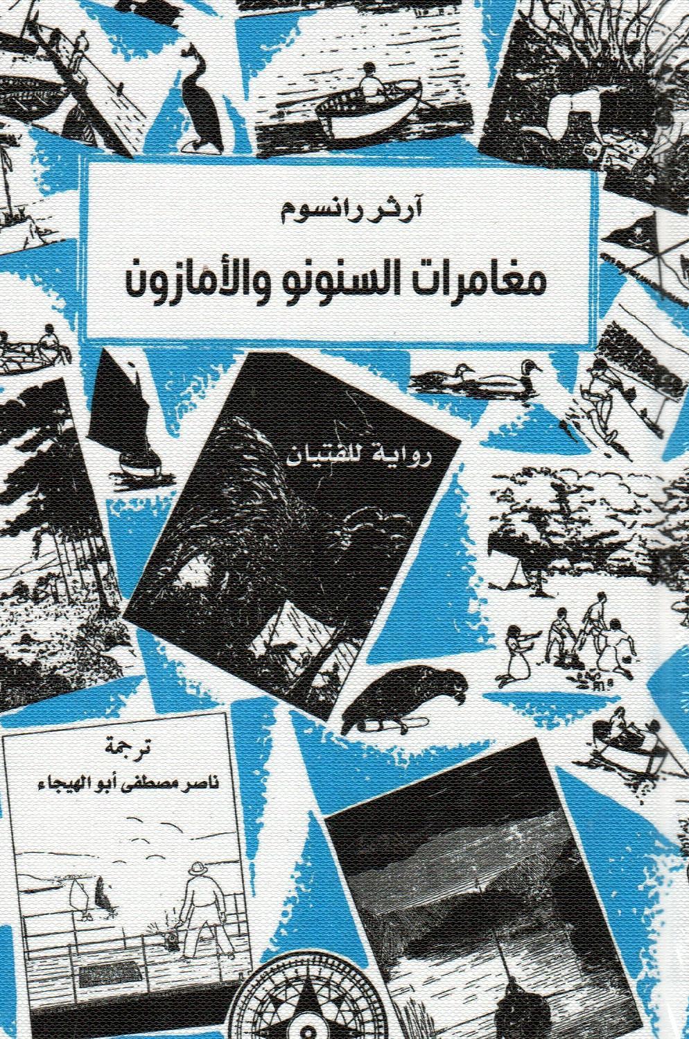 مغامرات السنونو والأمازون