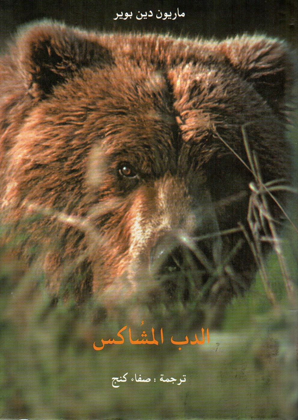 الدب المشاكس