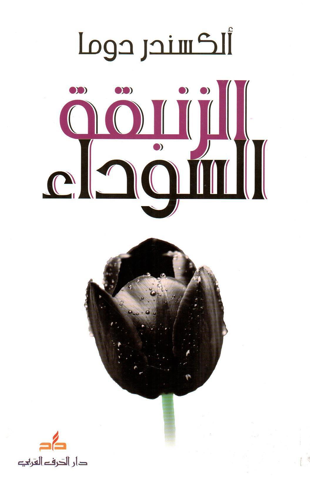 الزنبقة السوداء