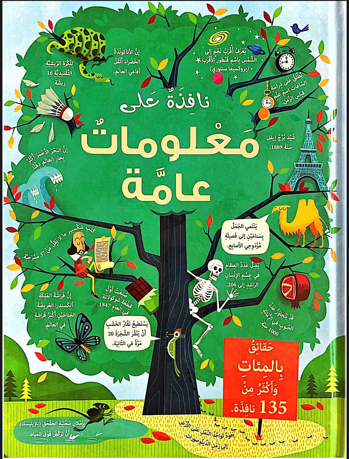 نافذة على معلومات عامة